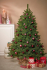Елочные пластиковые шары и украшения Mica Decorations компл. 60 шт, Ø 7/6 см, вишневые