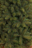 Сосна 215 см, Forest frosted с инеем