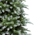 Ель 185 см с инеем, Abies Nordmann