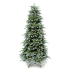 Ель 185 см с инеем, Abies Nordmann