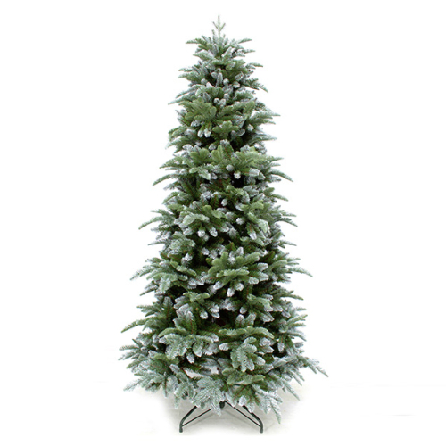 Ель 185 см с инеем, Abies Nordmann