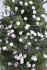 Сосна искусственная Norton зеленая 0,60 м, Black Box Trees