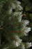 Гирлянда 1,8 м. Forest frosted зеленая